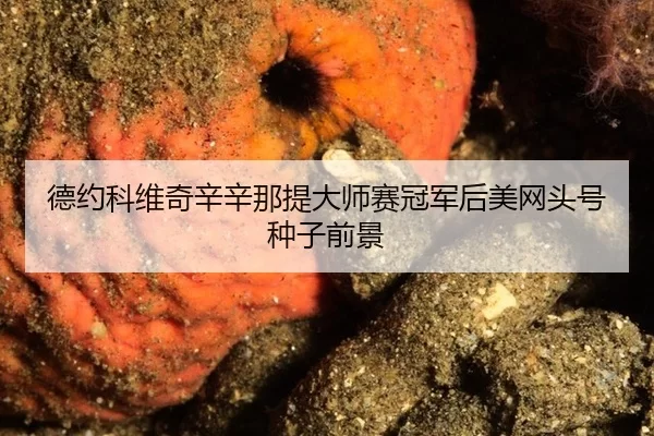 de-yue-ke-wei-qi-xin-xin-na-ti-da-shi-sai-guan-jun-hou-mei-wang-tou-hao-zhong-zi-qian-jing-3-905.jpg